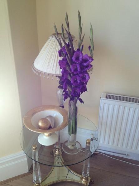 Number27Harrogate Bed and Breakfast Esterno foto